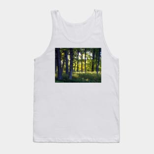 Illuminated Woods Tank Top